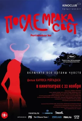 После мрака свет (фильм 2012)