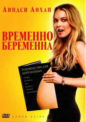 Временно беременна (фильм 2009)