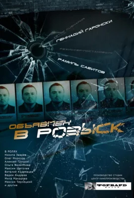 Объявлен в розыск (сериал 2010)