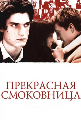 Прекрасная смоковница (фильм 2008)