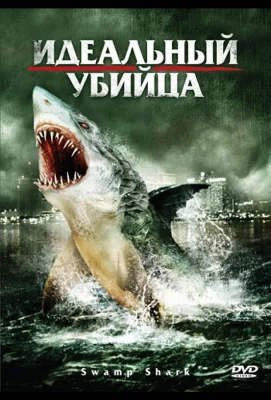 Идеальный убийца (фильм 2011)