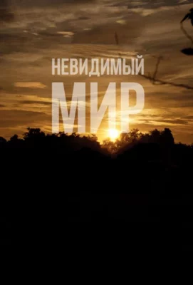 Невидимый мир (фильм 2012)