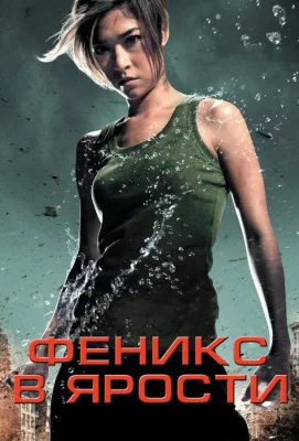 Феникс в ярости (фильм 2009)