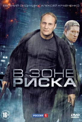 В зоне риска (сериал 2012)